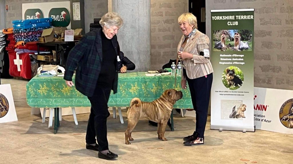 Du val des genets - Ambiance en expo