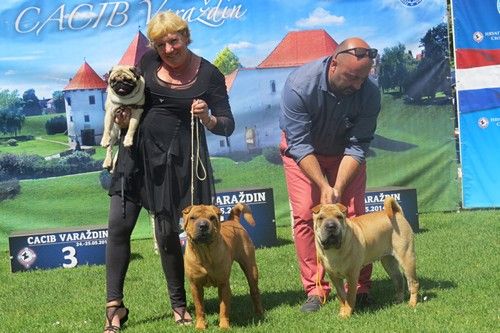 Du val des genets - Aprés une période calme nous reprenons la liste de nos champions 