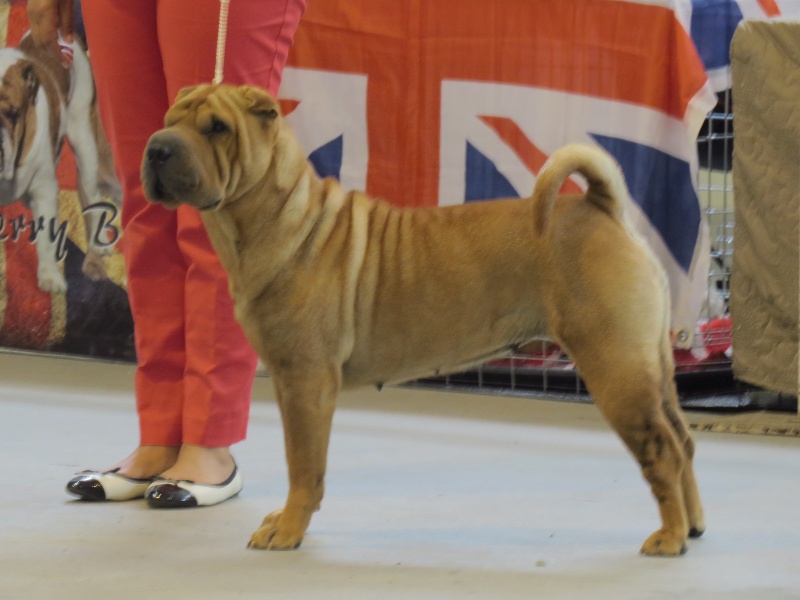 CH. Frimeuse Du val des genets