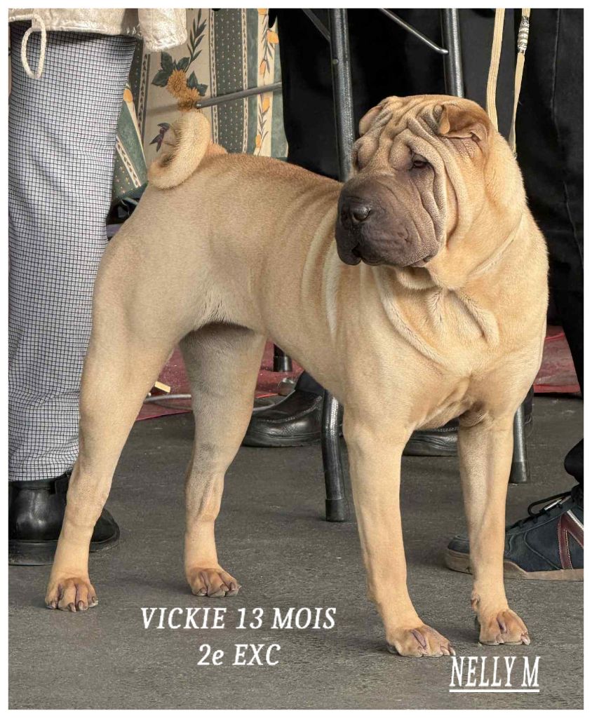 Le bonheur pour un éleveur