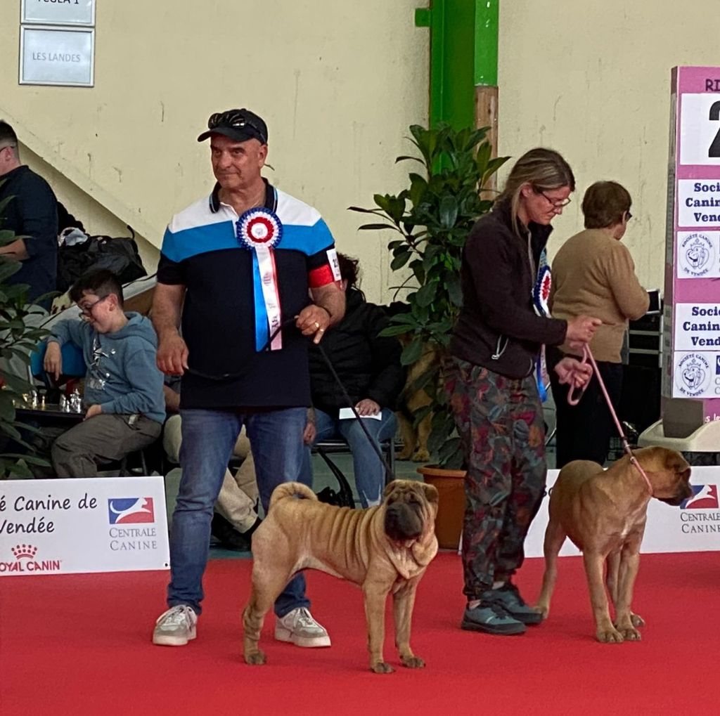 Du val des genets - Début des expos pour les bébés de LANA
